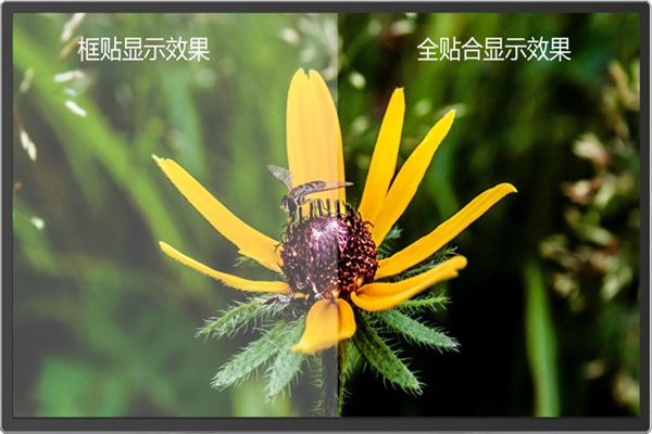全貼合和框貼有啥區(qū)別？