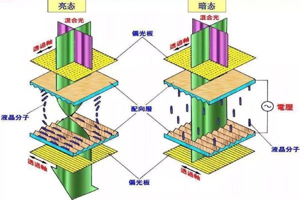 每天都在看的手機(jī)屏，是怎么做出來的？